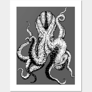 Kraken Posters and Art